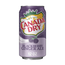 Load image into Gallery viewer, Canada Dry Holiday Edition
