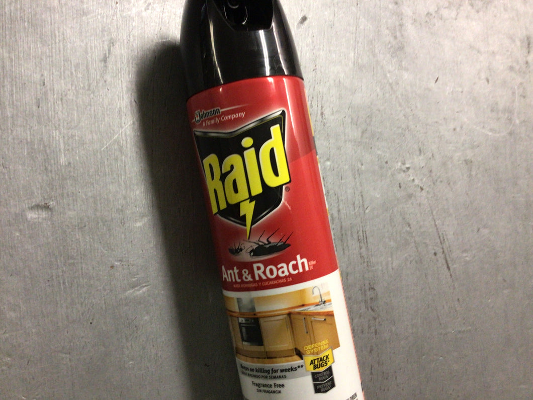 Raid ant & roach